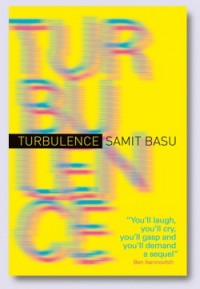 Basu-T1-Turbulence-Blog