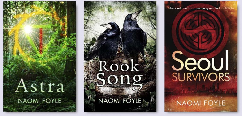 FoyleN-Novels2015-Blog